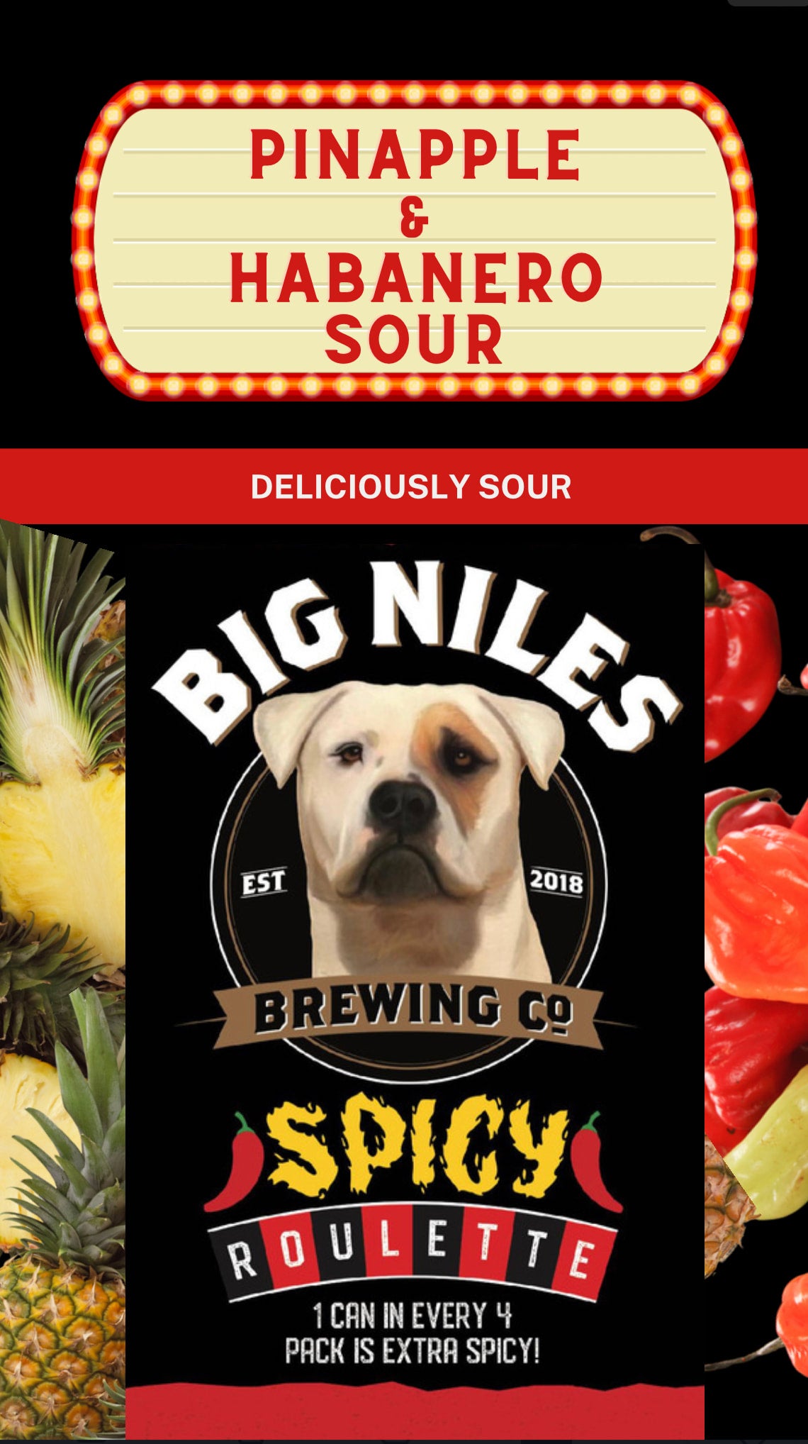 Shop Big Niles Brewing Co